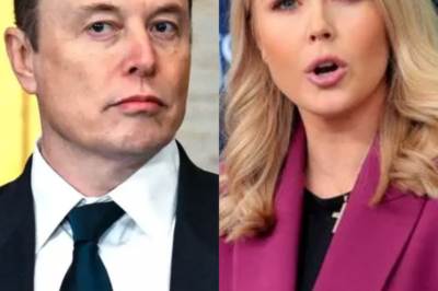 Karoline Leavitt FINALLY Speaks Out About Elon Musk’s Reason for Shutting Down USAID