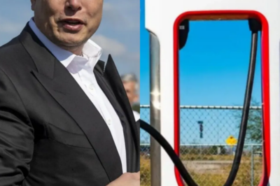 5 minutes ago: An American makes the bold decision to shut down Tesla and the US auto industry – Elon Musk responds with a sh8cking 8-word message and reveals a hidden truth that stuns the world
