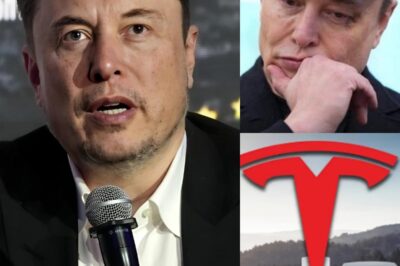 SH&CKING REVELATION: The whole world was stunned by Elon Musk’s 7-word statement about a long-hidden truth: “I think this is the right time for everyone to know”!