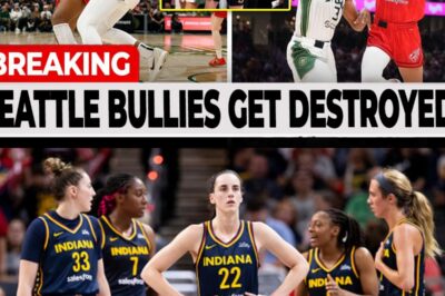 Aliyah Boston, Lexie Hull, Kelsey Mitchell DESTROY Seattle Storm BULLIES! Protect Caitlin Clark!