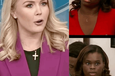 JUST IN: Karoline Leavitt Delivers Scathing Rebuttal to Reporter Over L.A. Riots Misinformation—Her Nine-Word Response Leaves the Room in Shock