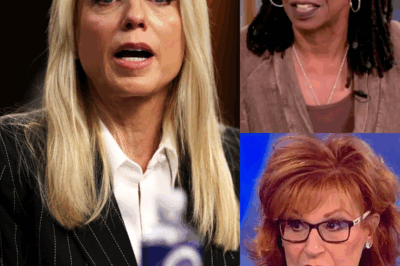 JUST IN: Pam Bondi SHAKES UP ‘The View’—One Remark Leaves Hosts STUNNED and the Set in TURMOIL! What began as a routine segment… exploded when Pam Bondi unleashed a single sentence that turned the whole show on its head.