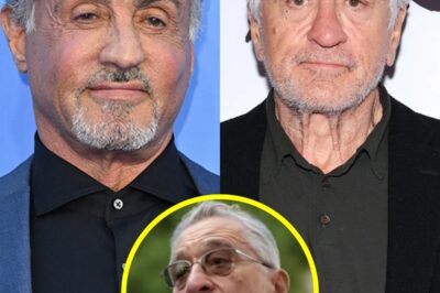 Sylvester Stallone has stunned Hollywood by abruptly exiting a major project, boldly citing Robert De Niro as “too woke and creepy,” a dramatic move that’s ignited industry buzz, divided fans, and set off a wave of speculation and heated debate—check the link in the comments for all the jaw-dropping details and join the conversation!
