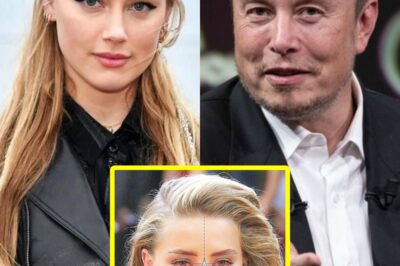 Elon Musk’s Secret Obsession Revealed: Billionaire Tried to Clone World’s “Most Beautiful Face” Amber Heard, Scientists Claim—Shocking Lab Documents Surface as Insiders Expose Tesla CEO’s Bizarre Experiments!