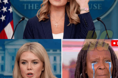 Karoline Leavitt Drops Bombshell: $800M Lawsuit Against The View Shakes ABC—Explosive Leaks, Internal Panic, and Staff Scrambling as Young Press Secretary Refuses to Settle!