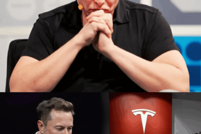 BREAKING NEWS: Elon Musk’s Tearful Plea Rocks SpaceX: “I Beg You…” Employees Weep as Secret Crisis Erupts—Fans Launch Prayer Circles! Shocking Revelation HINTS at the END—What Is Musk Hiding?