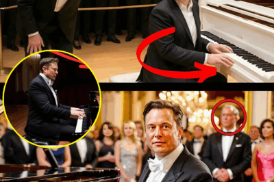 Elon Musk Mocks a Famous Pianist — Then Plays and Leaves the Whole World Speechless