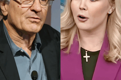 Robert De Niro Sparks Debate with Comments on Karoline Leavitt’s Role Model Status
