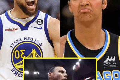 Reese shared with fans that her $73,000 salary isn’t enough to cover her $96,000 annual rent and daily expenses. Steph Curry IMMEDIATELY voiced his opinion on closing the pay gap for WNBA players