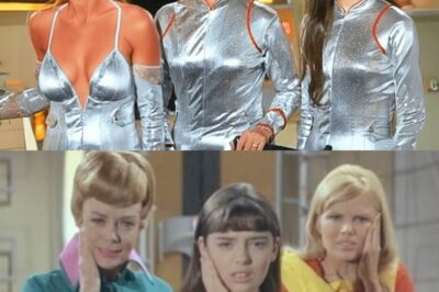 Lost in Space isn’t just retro TV, it’s a vault of secrets. Most fans remember the campy humor and the Robot’s iconic warnings, but few realize the chaos behind the scenes. Did you know the most memorable character wasn’t even in the original pilot? Or that a live llama nearly ruined an episode?