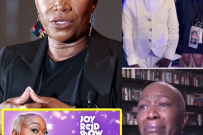 EXCLUSIVE: MSNBC Thought They Silenced Their ‘Dangerous’ Host. Four Months Later, Joy-Ann Reid Has 160,000 Paying Fans—and a Media Empire That’s Making Her Old Bosses Panic