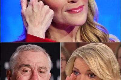 UNBELIEVABLE: The Entire Studio Froze as Megyn Kelly to Call Robert De Niro a ‘Washed-Up Name’ — And with Just 5 Words, He Left Robert De Niro Speechless on Live Broadcast!