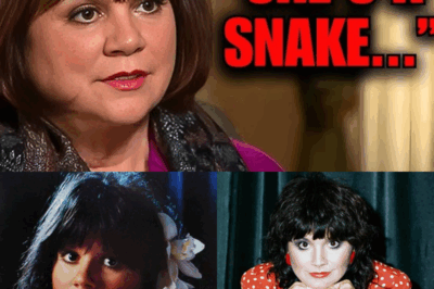 At 78, Linda Ronstadt Finally Breaks Her Silence: The Seven Famous Musicians She Could Never Forgive—What Really Happened Behind the Scenes, Why She Stayed Quiet for Decades, and the Surprising Truths That Will Change How You See These Legends Forever