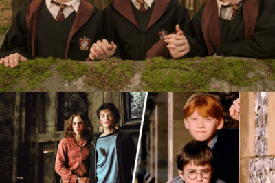 Harry Potter Cast Finally Reveals What All Fans Never Figured Out