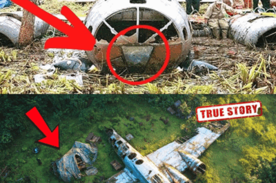 They Found This Plane Hidden In The Jungle, Then They Looked Inside