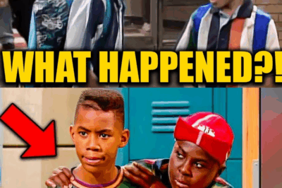 Nickelodeon’s Only Black Family Sitcom Vanished After Just 13 Episodes—But What Really Happened Behind the Scenes? The Cast Finally Reveals the Explosive Truth About Secret Battles, Lost Storylines, and a Sudden Disappearance That Changed TV Forever—You Won’t Believe Where the Stars Are Now!