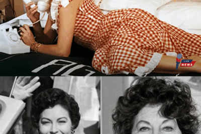 At 67, Ava Gardner Finally Breaks Her SILENCE About Humphrey Bogart—Her DEEPLY PERSONAL Reflections Reveal the UNEXPECTED Truth Behind Their Hollywood Connection, Stirring EMOTION and MYSTERY That Will Leave Fans Longing for the Untold Stories Hidden Beneath the Glamour and Shadows of Cinema’s Golden Age