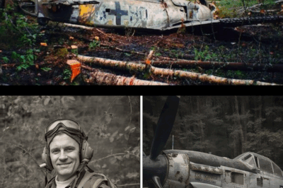 Fighter Pilot Vanished in 1943 — 60 Years Later, His Rusted Plane Was Found in a Forest…