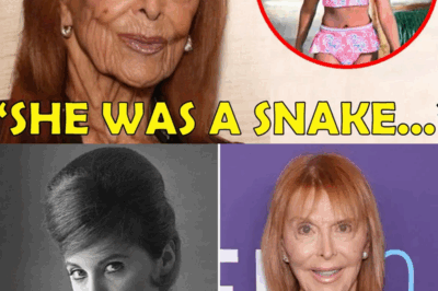 At 91, Tina Louise Breaks Decades of Silence and Shares the Untold Truth About Her Time on Gilligan’s Island—Revealing Shocking Behind-the-Scenes Realities, Personal Struggles, and the Hidden Costs of Fame That Fans Never Imagined, Forever Changing How We See This Iconic TV Legend