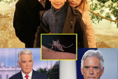 Doctors explained why John Roberts’ case of malaria was more severe than usual: his age, underlying health conditions, and, most notably, an unexpected lifestyle habit that played a critical role.