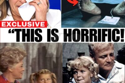 Hollywood’s Lost Angel: The Secret Files That Finally Reveal What Really Happened to Anissa Jones