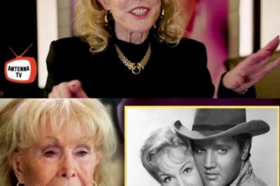 Barbara Eden finally comes clean about Elvis after 94 years.  On August 23, 1931, Barbara Eden was born in Tucson, Arizona.  Barbara Gene Moorehead is her true name.  Due to the Great Depression, Barbara had a difficult upbringing.  She moved to San Francisco with her mother after her parents divorced.  They spent the majority of their early years there.