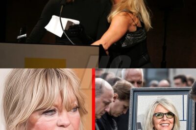 Goldie Hawn Finally Confirms Diane Keaton’s Last Words — The Truth Is Shocking