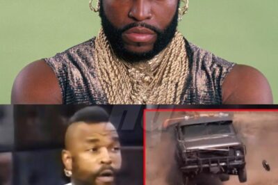 Imagine walking away from a dazzling Hollywood career just when the world can’t get enough of you. What drives a superstar who dominated the box office for nearly two decades to simply step off the stage? Cameron Diaz’s choice to retreat from fame shocked fans and industry insiders alike, raising big questions about ambition, privacy, and what truly matters in life.