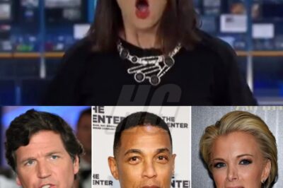 When the cameras start rolling, every second counts — but what happens when the anchors themselves become the headline? From shocking live meltdowns to hot-mic slipups that ended decades-long careers, these moments prove that even the calmest faces on TV can lose control in an instant. Some fell from grace in seconds, others in scandalous slow motion. One even thought his mic was off — until it wasn’t. Here are 20 News Anchors Who Were Fired LIVE on Air—and trust us, you won’t see these endings coming.