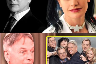 NCIS has given us shocking twists, heartbreaking exits, and unforgettable characters. But behind the cameras, the real drama came when some of its biggest stars walked away. Why would anyone leave one of the most successful television shows? The reasons are far from simple. From sudden departures to quiet goodbyes, every story is different. In this article, we’ll break down the real reasons why 10 actors left NCIS. One exit in particular caused chaos right before filming even started—let’s dive in.