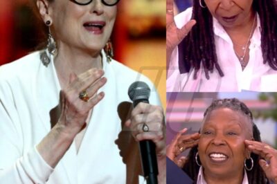 Meryl Streep Confronts Whoopi Goldberg on The View