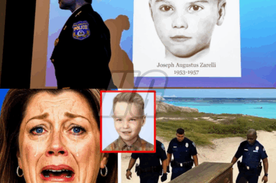 67 Years Later, the Mystery of the Boy in the Box Is Finally Solved…And It’s Shocking