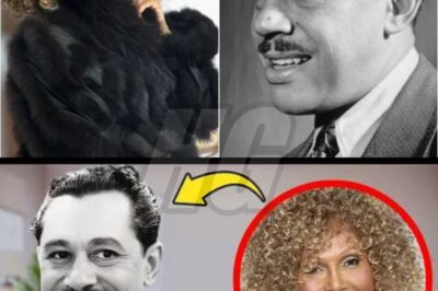 For many years, the energetic band leader and jazz icon Cab Calloway thrilled crowds with his exciting performances. However, behind the scenes and beyond the spotlight, Cab Calloway kept significant and scandalous aspects of his personal life hidden. Now, his family has confirmed these long-standing rumors. So, who was the real Cab Calloway? To understand Cab, we first need to understand the early events that shaped his extraordinary life.