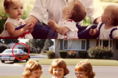 Young Triplets Vanished in 1981 — 15 Years Later Their Mom Makes a Shocking Discovery…