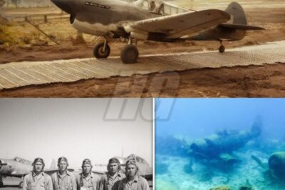 Ten US Pilots Vanished in 1938 Over the Bermuda Triangle, 70 Years Later Divers Find…