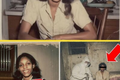 For 30 Years He Told Neighbors His Wife Left Him — Police Found Her Upstairs