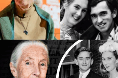 The Real Reason Jane Goodall Divorced Her Husband Will Blow Your Mind