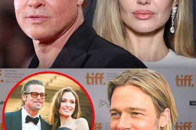 After 8 Years of Divorce, Brad Pitt FINALLY Breaks His Silence on Angelina Jolie