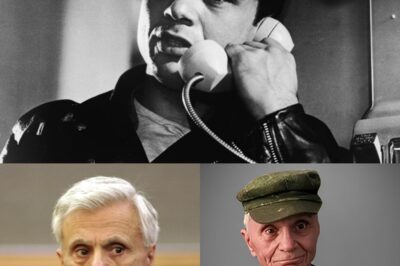 Remember Him? Baretta (1975) TV Show Star, Try Not to Cry When You See His Tragic Life