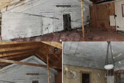 Woman Finds Full-Size House Hidden in Attic — Then Notices What’s Inside