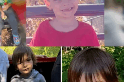 Family of missing Alberta 6-year-old Darius MacDougall revisit last place they saw him