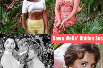 Dawn Wells’ Hidden Secret While Filming Gilligan’s Island