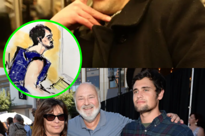 Rob Reiner’s son Nick’s ‘dark,’ never-before-seen Instagram page revealed
