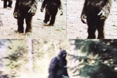 A Little Girl Raised Three Baby Bigfoots, But When They Grew Up Something Happened to Her