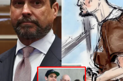 Nick Reiner smirks in court as he’s dropped by high-powered lawyer Alan Jackson — who says he had ‘no choice’