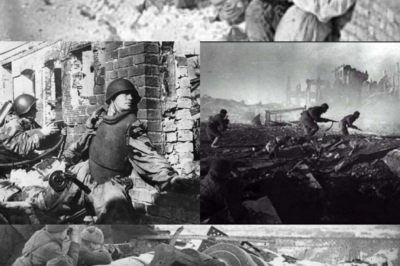 Battle of Stalingrad: Bloodiest Battle in The World History
