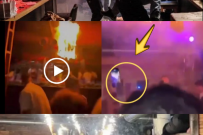 The Chilling Moment They Ignored the Alarm: Newly Released Footage Reveals Why the Swiss Bar Fire Turned Deadly