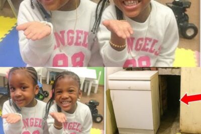 Twins Vanished From Daycare, 3 Years Later Investigators Make a Disturbing Discovery…