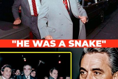 Before Death, Former Mobster John Gotti Finally Admits Who He Truly Hated The Most
