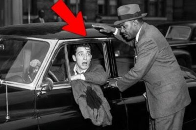 Genovese Family SENT 15 Men to Bumpy’s Apartment — Only the Driver Made It Back